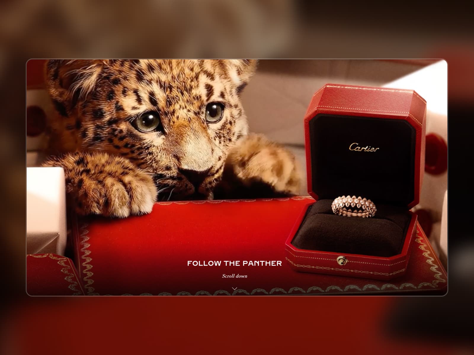 Cartier Follow the Baby Panther